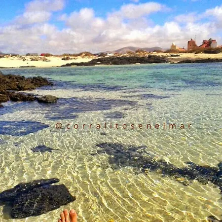 Corralitos En El Mar Estudios